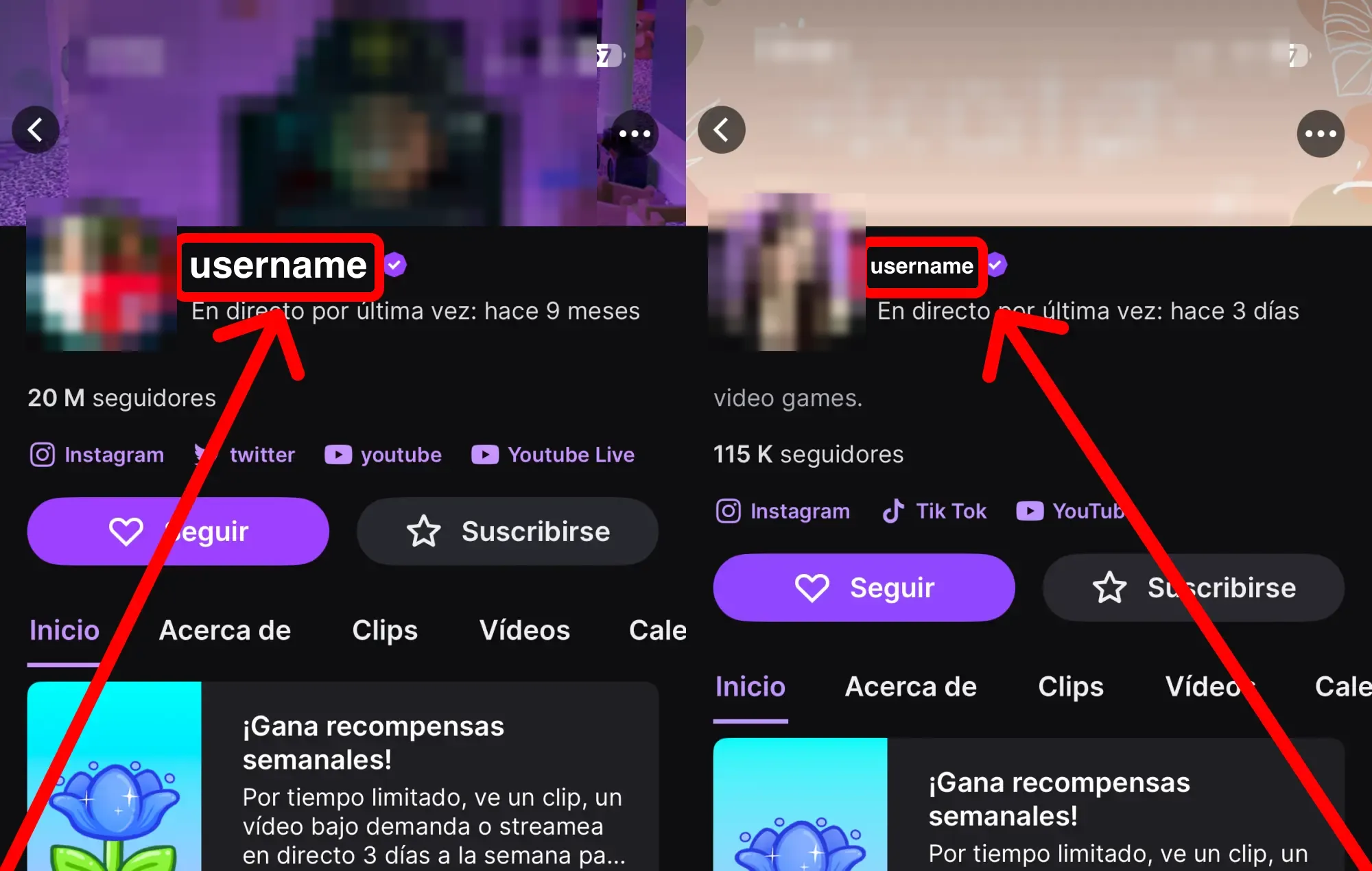 Comprar espectadores en directo para Twitch: guía con capturas de pantalla – dónde encontrar tu nombre de usuario o el enlace de tu perfil de Twitch